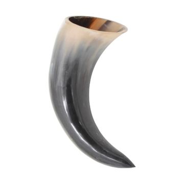 Medieval Warrior Viking Drinking Real Horn